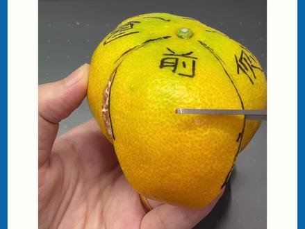 插画教程丨一个橘子皮画出不同角度头发
不会画头发,画头发不会分组的同学有福了~只需要一个橘子,就能帮你搞定画头发的分组问题#零基础学画画 #画头发 #插画小技巧 #蓝贵莲插画课 #银河插画村 @抖音小助手