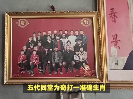 五代同堂为奇打一准确生肖? #内容启发搜索