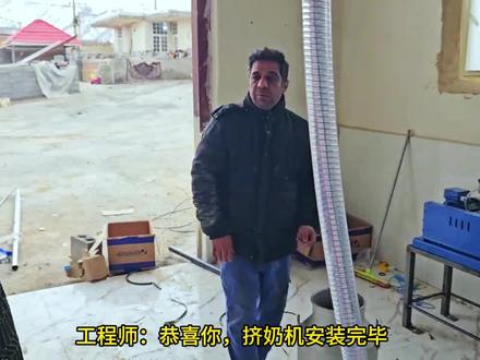 米娜暂时放下孩子们,挤奶机器安装结束,米娜安心养牛了