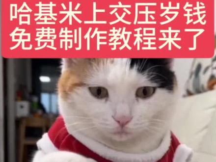 委屈巴巴 #喵咪上交压岁钱
#芯有云雀创作飞跃#小云雀AI #小云雀爆款马上成片 #小云雀seedance
哈基米 狗狗宠物 咪咪咪咪
咪咪 教程 好玩