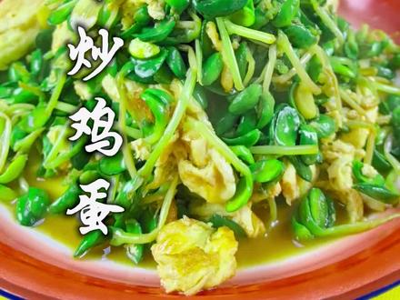 黑豆芽炒鸡蛋这样做清淡又爽口而且不出汤。#在家做美食 #黑豆芽炒鸡蛋 #抖音美食创作人 #抖音美食推荐官