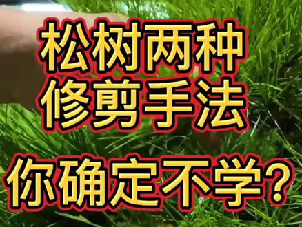 纯干货分享,你确定不学?#手艺人 @抖音小助手