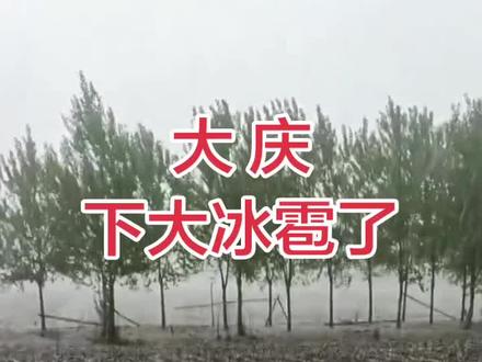 5月23日大庆下冰雹了,黑龙江好几个地方下雹子,安达也下了#恶劣天气对农业影响