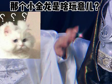 #二哈和他的白猫师尊 #楚晚宁cos #华碧楠cos 金龙盘玉柱DDDD@DOU+小助手 (doge)