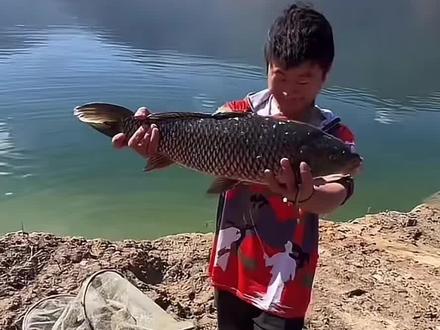 #擒龙诀荒野挨饿王大鱼挑战赛 #刷锅传媒 小贺逆袭目前第一@地板的户外生活(荒野大鱼挑战赛裁判) @路亚滑漂小志(荒野大鱼挑战赛主裁判) @小贺(户外垂钓)