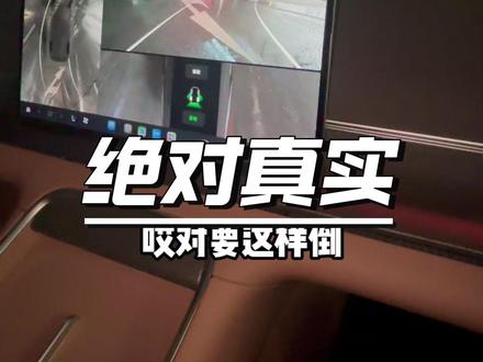 家人们,这是幸运还是倒霉,D19全国“首撞” #汽车测评 #零跑汽车 #零跑d19 #新车 #抖音汽车