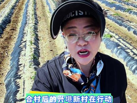 从隔村如隔山到合村又连片,合的是村庄,发展的是产业,凝聚的是民心,让集体经济有底气,让老百姓得实惠,这才是合村的目标和方向#乡村振兴
