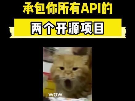 想要造出更上一层楼的轮子,怎么能不会调用API? #程序员 #互联网 #编程 #干货分享