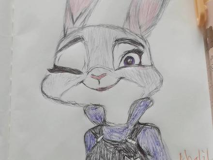 31岁零基础简笔画临摹,今天画的是尼克的搭档朱迪#简笔画 #手绘 #圆珠笔画 #疯狂动物城 #兔子警官