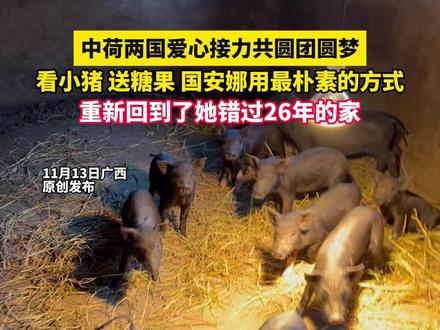 中荷两国爱心接力共圆团圆梦,看小猪 送糖果 国安娜用最朴素的方式,重新回到了她错过26年的家(记者栋 炜 浩 越)#寻亲 #国安娜