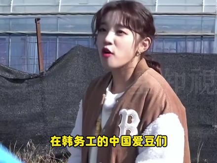有的时候,太有文化,也是一种负担#kpop #娱乐评论大赏 #宋雨琦 #徐明浩 #文俊辉 章昊 沈泉锐