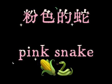 pink!!🎨 #爬行动物 #爬宠 #爬宠日常
#蛇 #玉米蛇