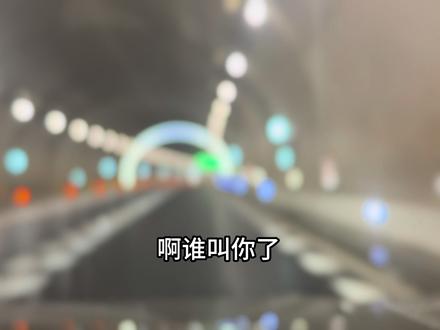 欲买桂花同载酒终不似少年游#有空再回来