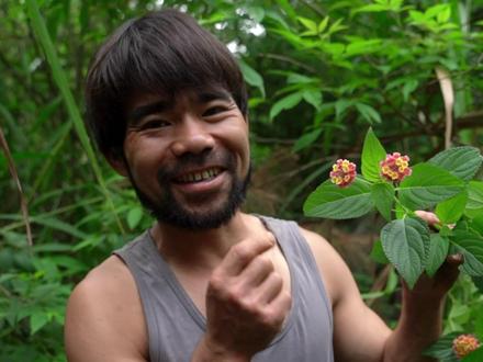 五色花,农村常见,你认识吗?还有什么功效,快来评论区来说说看吧!#生活#植物#中药#乡村守护人 #2023新农人计划