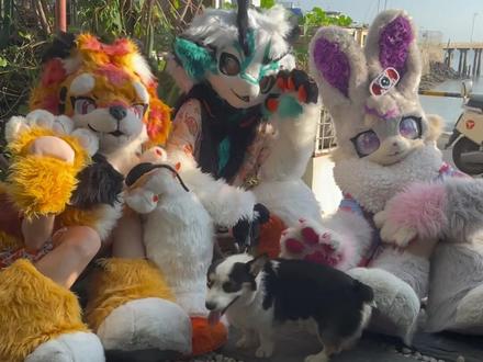 兽装旅游?!三只毛毛,五天四晚的快乐游记~
#兽装fursuit #兽装 #furry #旅游vlog #特种兵式旅游