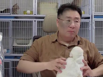 你家猫猫到那个阶段了? #新手养猫 #科学养猫攻略 #猫咪训练 #猫猫