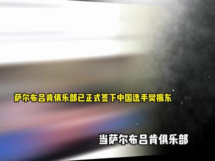 980 万签约血赚不亏!樊振东横扫德甲,用实力打服所有质疑声 #樊振东 #萨尔布吕肯 #乒乓球 #热点 #和抖仔花式同框