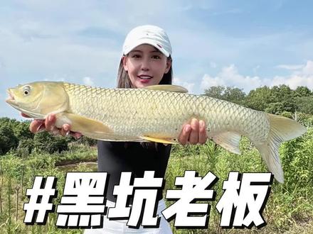 现在的黑坑老板,真的又黑又坑#很哇塞的钓鱼装备大赏