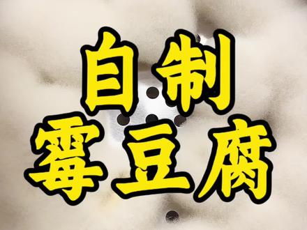超可爱的毛豆腐!!!家庭自制霉豆腐,制作过程分享~#霉豆腐 #霉豆腐豆腐乳 #毛豆腐 #真实生活分享计划 #传统美食