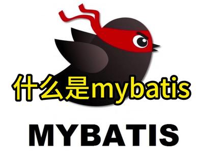 什么是mybatis,你真了解吗?我来告诉!刚学的!#程序员 #编程 #计算机 #java #软件开发