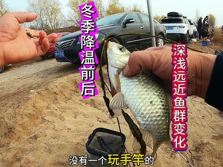了解冬季降温前后深浅远近鱼群变化,才明白何时钓深钓浅钓远钓近 #野钓 #冬钓鲫鱼 #了解冬季鲫鱼 #冬季钓鱼 #钓鱼知识