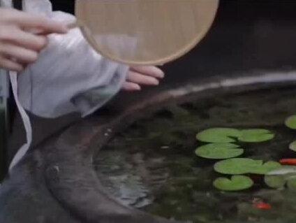 池鱼思故渊,故渊念池鱼。后来故渊无池鱼,池鱼别故渊#抖音小助手 #情感语 #小新啊 #抖音热门