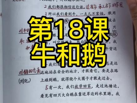 四年级上册18课《牛和鹅》重点#课堂笔记