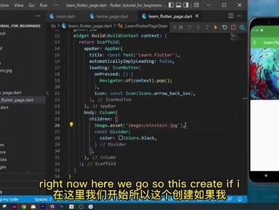 1小时学会Flutter #编程入门 #Flutter
