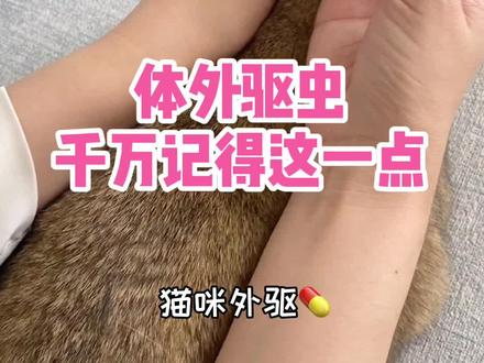 越是常见的事,越容易被忽略。你家猫咪吃到肚子里多少💊了?滴到后勃颈后就不管了可不行#海草计划 #体外驱虫