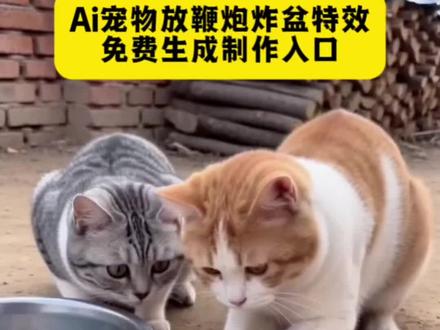 Ai宠物放鞭炮特效视频制作教程#ai宠物放鞭炮 #宠物放鞭炮 #放鞭炮 #剪映 #炸狗盆 剪同款 炸狗盆视频制教程 小猫放鞭炮 小狗放鞭炮 宠物放鞭炮炸盆抠脑袋上视频