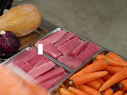 就这猫饭🥩本博主敢说:吃完后世界上将没有挑食的小猫猫🐈 #猫咪 #宠物鲜食 #这也太香了吧 #科学养宠攻略 #猫饭