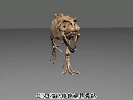 拆解《侏罗纪公园》里虚构的霸王龙形象,还原其真实体态、栖息环境与生存状态,揭露化石高价流入私藏,大量史前生命研究资料永久封存的严峻问题。
#科普 #科普一下 #霸王龙 #化石