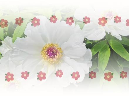 不敢想得有多好看!#肖战得闲谨制