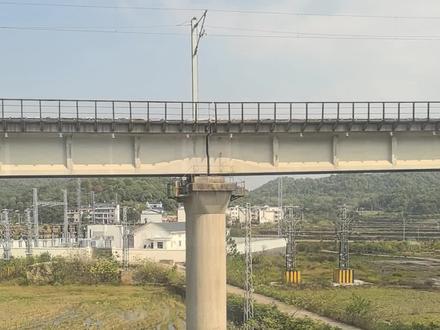 葛仙村避坑超详细攻略
(文字版)(有个口误,灯是租赁的,但不是重复使用的,评论区也已修正)
交通🚗动车坐到上饶站,有公共交通直达,也可以打车。(主包被缺德地图带偏从上饶中转去了弋阳站再打车去了我住的民宿,其实上饶站不管打车还是公共交通,都可以直达葛仙村)
住宿🏠主包住的是山下的民宿,价格150元一天住了两天,这个民宿景区是免费接送的。
景点🏞价格高德上:125元包含景交车,从游客中心坐景交车上山,葛仙村不大,分两侧,一侧是景区酒店,一侧是商店以及游玩项目,白天游玩时长:5个小时(包含缆车上下山),爬山加两小时。
🌟超火的灵宝瀑位于下景交车之后大厅出口星辰广场往上的位置,开放时间非节假日整点开放,每次开放十分钟。
🌟葛仙山缆车费用:70元上山,60元下山,听说葛仙殿很灵验,大家可以去求签问卦,免费的,另外山上的斋饭也是免费的(也可以适当捐献至功德箱,主包捐了10元),先去葛仙殿左侧领取饭票,再去斋饭堂吃饭,主食饭和粥是免费的,馒头是10元8个,不强制,斋饭里的炒青椒巨咸,大家可以让打饭姐姐少打一点避免浪费。下山的话走路大概1个半小时,想要锻炼的宝子可以走路下山。
🌟千灯会是在星辰广场开放,晚上9点开始,孔明灯是租赁的,20元一个,押金50元一个,不可以放跑哦,可以提前10分钟去占位置。
🌈🌈🌈主包建议来啦,建议是住景区内,两个人的话就不用说了肯定划算的,一个人的话也可以去团399景区酒店加门票的套餐划算也方便(如果只有贵贵的套餐那就丰俭由人了),因为第一天只要是在晚9点前到,第一天晚上的时间就可以安排去看千灯会,第二天白天可以去山上,还可以坐景交车下山,如果全部都安排在第二天,千灯会会等得很累,景区里面的皮影戏才5分钟一场,npc互动奖品也没啥有意思的,没啥可以打发时间的项目,主包是复盘后才发现这个方案更适合我,大家可以根据自己需求选择住宿时间以及游玩时长噢,拜拜啦,下一站婺源婺女洲~#旅游 #独自旅行 #江西