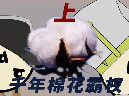 棉花03:工业革命如何夺取奥斯曼的棉花地?#历史