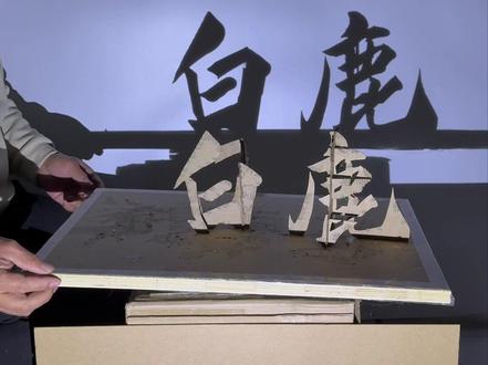 用影子画白鹿。#白鹿 #光影成画 #手工