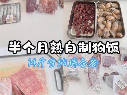 14斤雪纳瑞熟自制配比及用量公开 #熟自制 #自制狗饭 #科学养宠攻略 #雪纳瑞 #宠物vlog