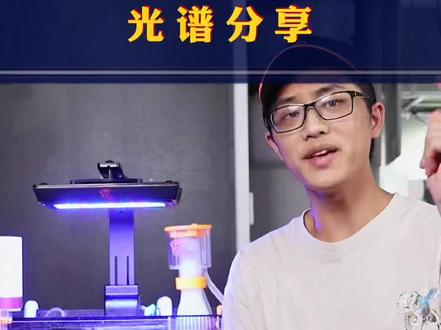 解决你珊瑚灯不会挑灯谱的问题#创作灵感 #养鱼日记 #海水发烧友 #水族 #海水日记 #海缸日记