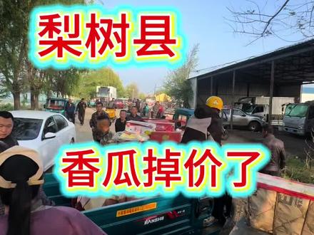吉林省四平市梨树县,杨家村香瓜产区香瓜大面积成熟 ,价格非常低,老百姓希望各地老板来梨树收瓜让老百姓度过难关# 甜瓜#优质农产品#抖音助农