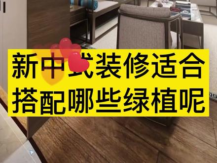 新中式装修搭配哪些绿植呢,你知道吗#大型绿植 #室内大型绿植 #天堂鸟#客厅绿植 #花卉绿植