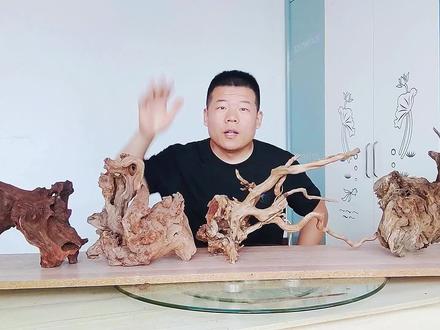 4种沉木,首选哪个?带你了解如何选择沉木和不同用法 #鱼缸 #草缸 #观赏鱼 #热带鱼 #水草造景