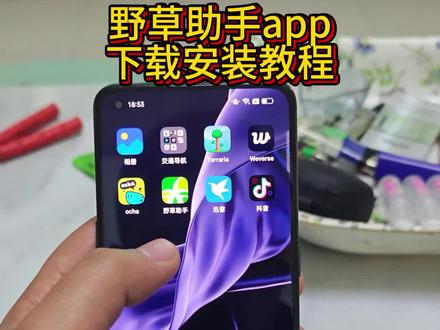 《美式资源库》野草助手tv下载安装教程#野草助手 #野草助手口令 #野草助手分享码 #野草助手怎么下载