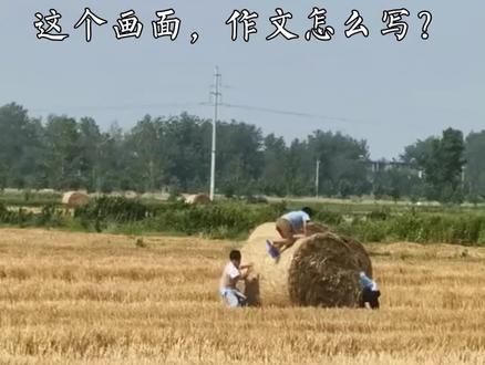 作文练习:麦垛与童年#小学作文 #小学语文