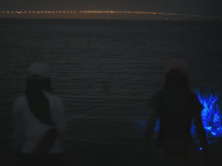 2026.5.22实拍,宁波蓝眼泪又又又杀疯啦! 宁波咸祥新湾沙滩已经连续四天大爆发了,赶紧带上ta出发吧!#蓝眼泪 #宁波蓝眼泪 #宁波旅游 #旅行推荐官 #出行实况分享计划