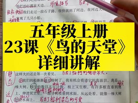 五年级上册第23课《鸟的天堂》详细讲解视频#五年级#课堂笔记#学霸秘籍