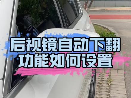 后视镜的这个隐藏功能你知道吗#用车小知识 #每天一个用车小知识