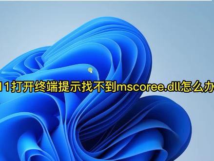 打开Windows终端提示找不到mscoree.dll错误 #windows11 #电脑更新bug #电脑修复