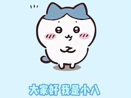 《八の科学日记》第二集:吉娃娃为什么喜欢吐舌头 #chiikawa #小八 #吉娃娃 #冷知识