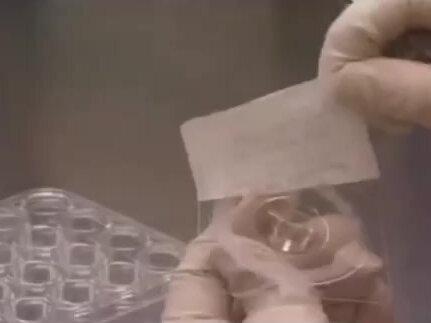 Transwell检测细胞侵袭实验技巧(1)