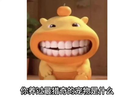 你养过最猎奇的宠物是什么#漫波 #漫波配音